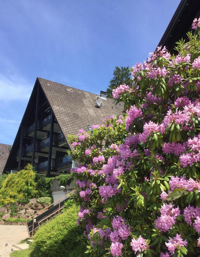 Panorama Point Appartement Sasbachwalden Buitenkant foto